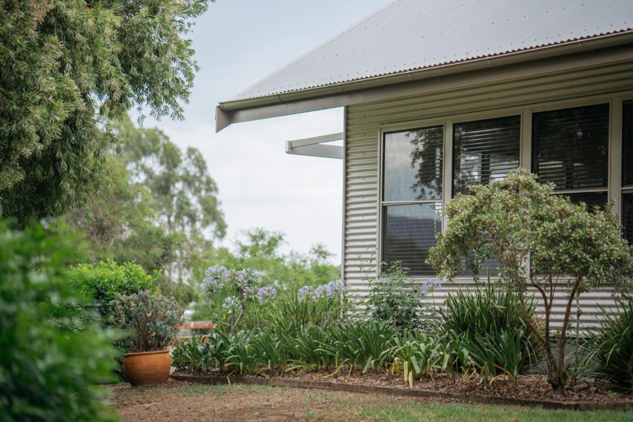 Elfin Hill Vineyard Accommodation Pokolbin Buitenkant foto