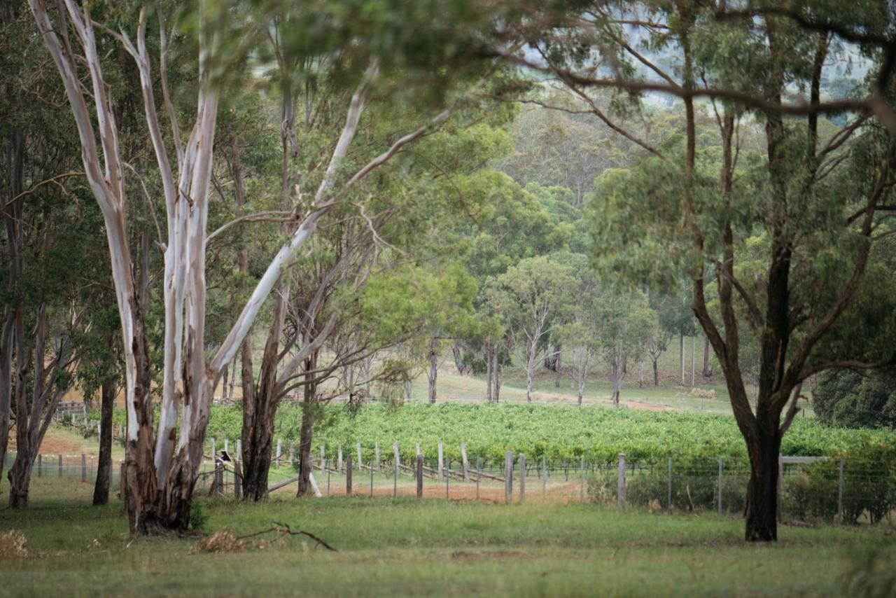 Elfin Hill Vineyard Accommodation Pokolbin Buitenkant foto